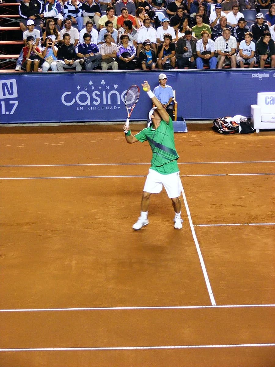 Movistar Open (4325519170)