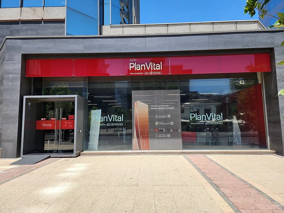 Abogado querella por desaparición del 90% de colonia de conejos en Las Condes