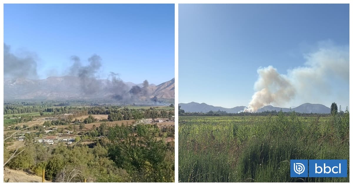 Alerta roja por incendio en La Lechería, Pirque tras avistamiento de columna de humo