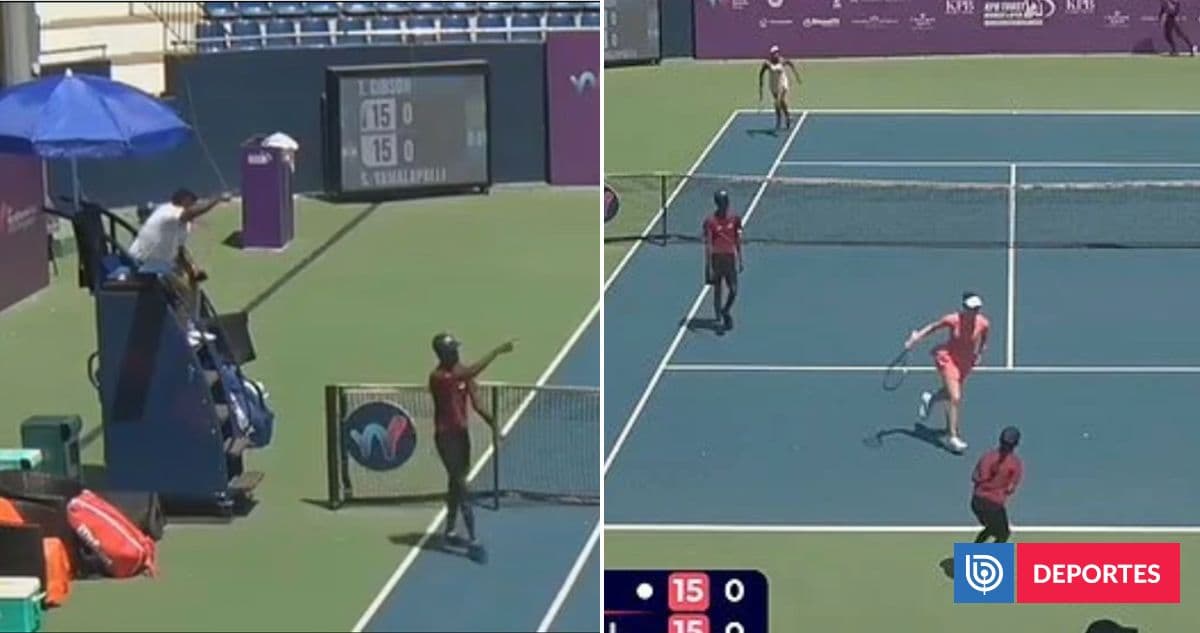 Nube de abejas interrumpe partido de tenis en India y provoca pánico en la cancha