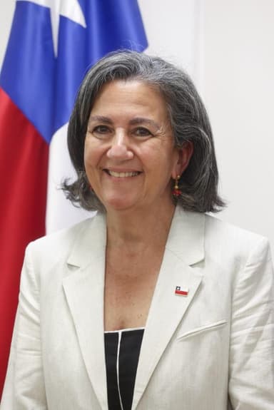 Retrato de May Chomalí