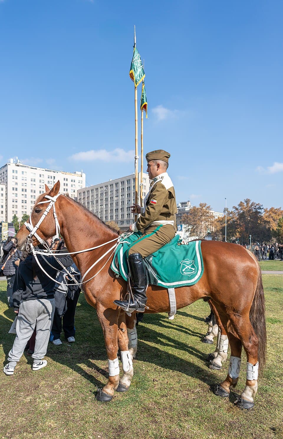 Zorro en avenida de Maipú movilizó a Carabineros y al SAG